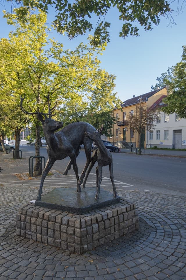 Lokalne jedzenie w Trondheim