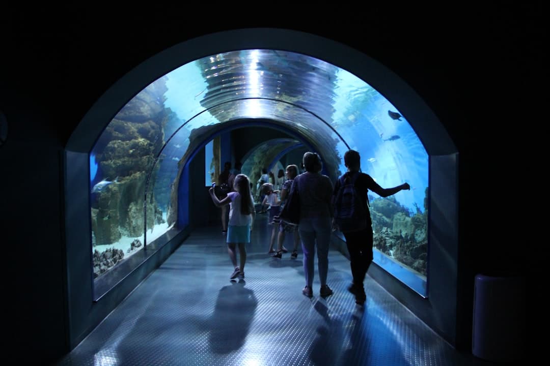 Tunel podwodny w Ocean World, dzieci cieszą się widokiem