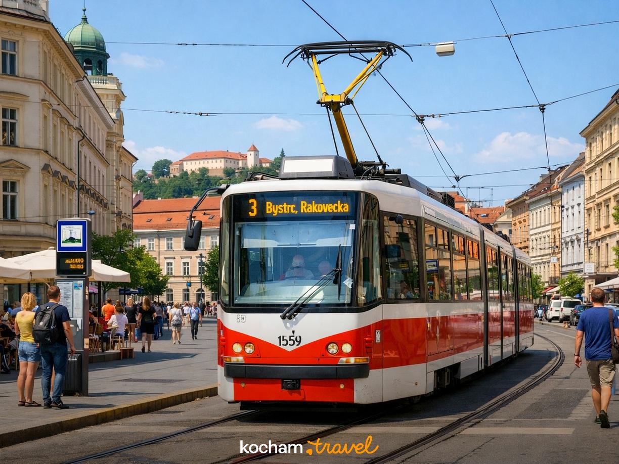 Poruszanie się po Brnie: Komunikacja miejska kluczem do sukcesu w Brno