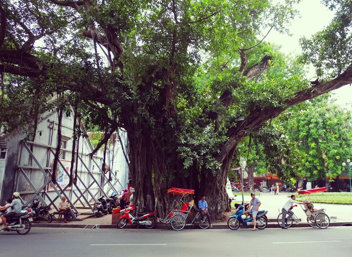 Dzieci odkrywające Muzeum Etnologiczne w Hanoi