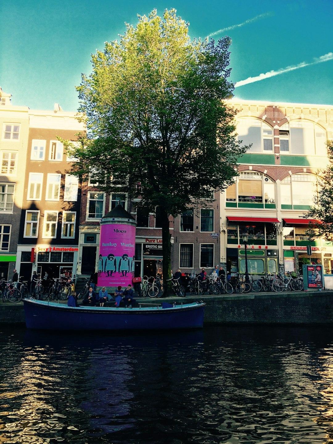 Holandia z dziećmi: Amsterdam, Efteling i inne atrakcje dla rodzin