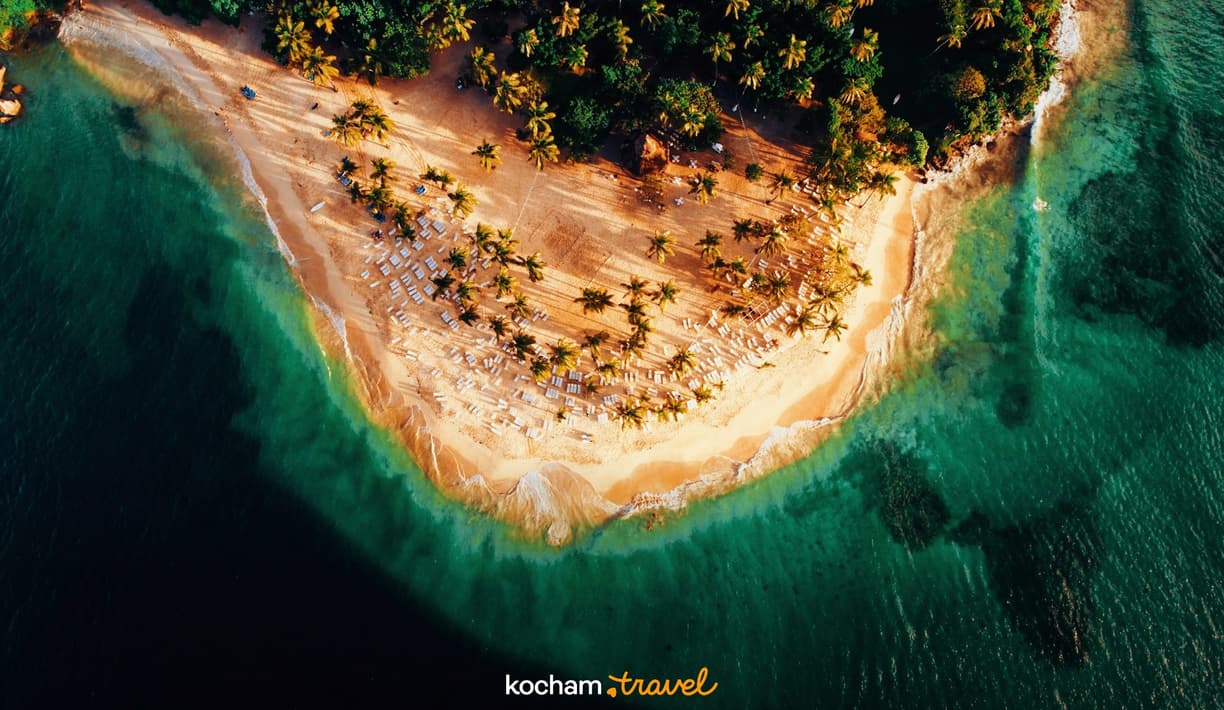 Piękna tropikalna plaża z palmami, leżakami i krystalicznie czystą wodą.