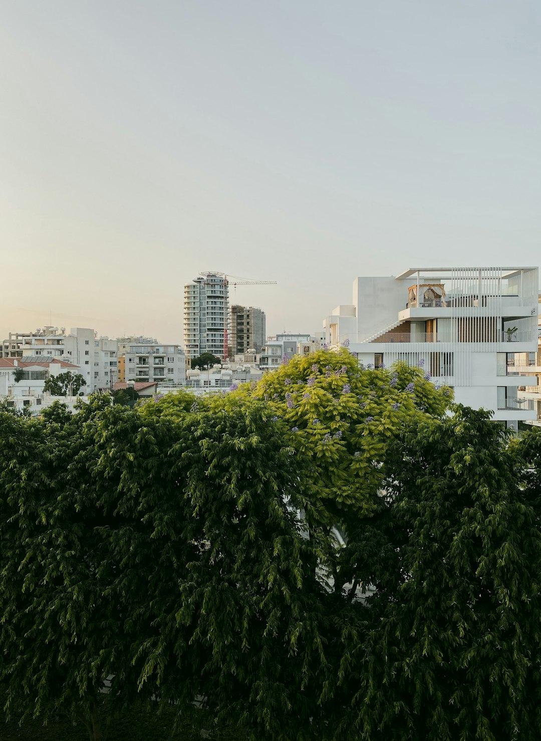 City Break w Limassol: Co robić w najbardziej kosmopolitycznym mieście Cypru?