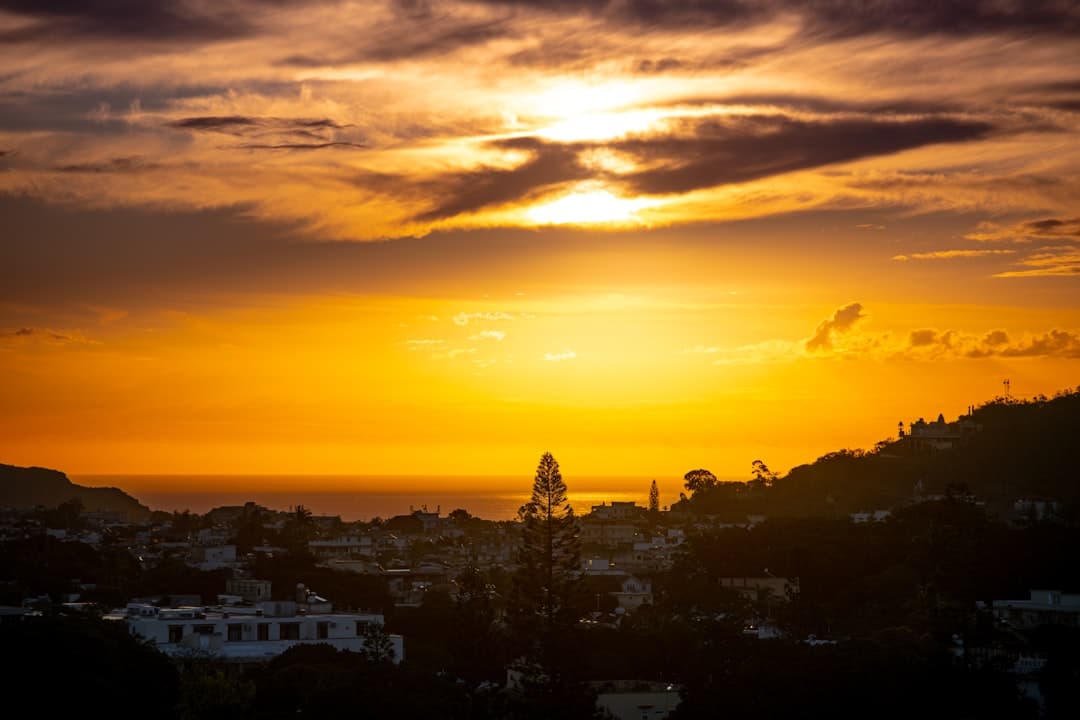 Ceny w Funchal 2025/26: Ile kosztuje wjazd kolejką na Monte, zjazd saniami i wino Madera?