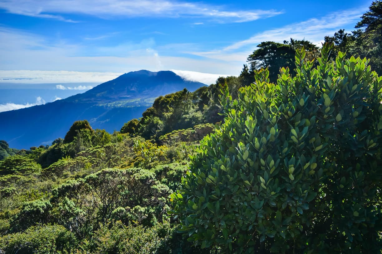 La Fortuna