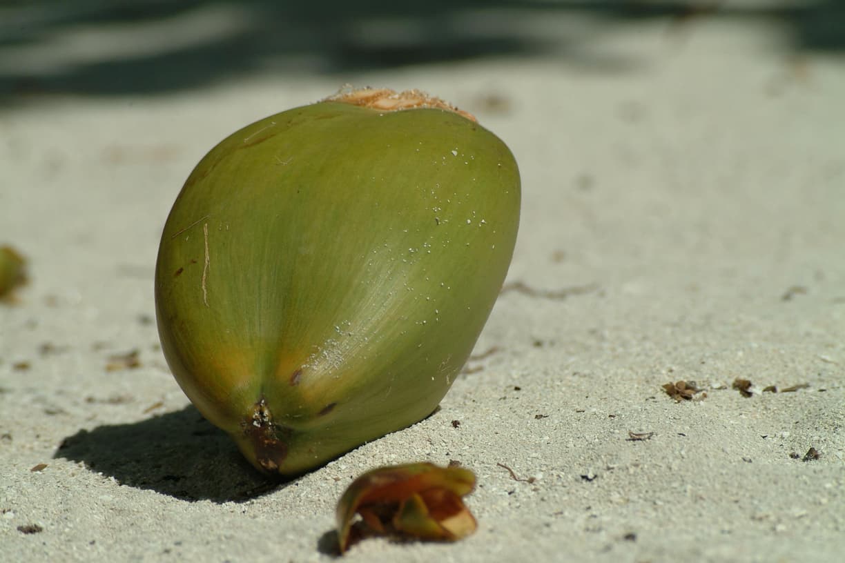 Male