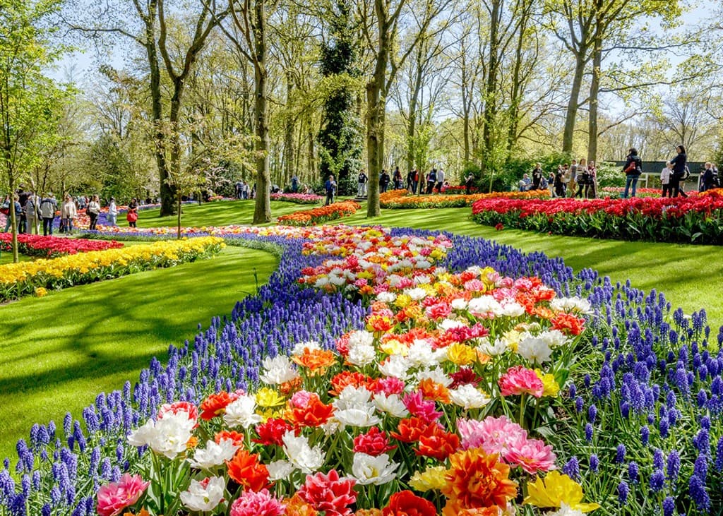 03-holandia-keukenhof-parada-kwiatow-weekend-objazdowa-biuro-podrozy-oskar-droga-kwiatowa1.jpg