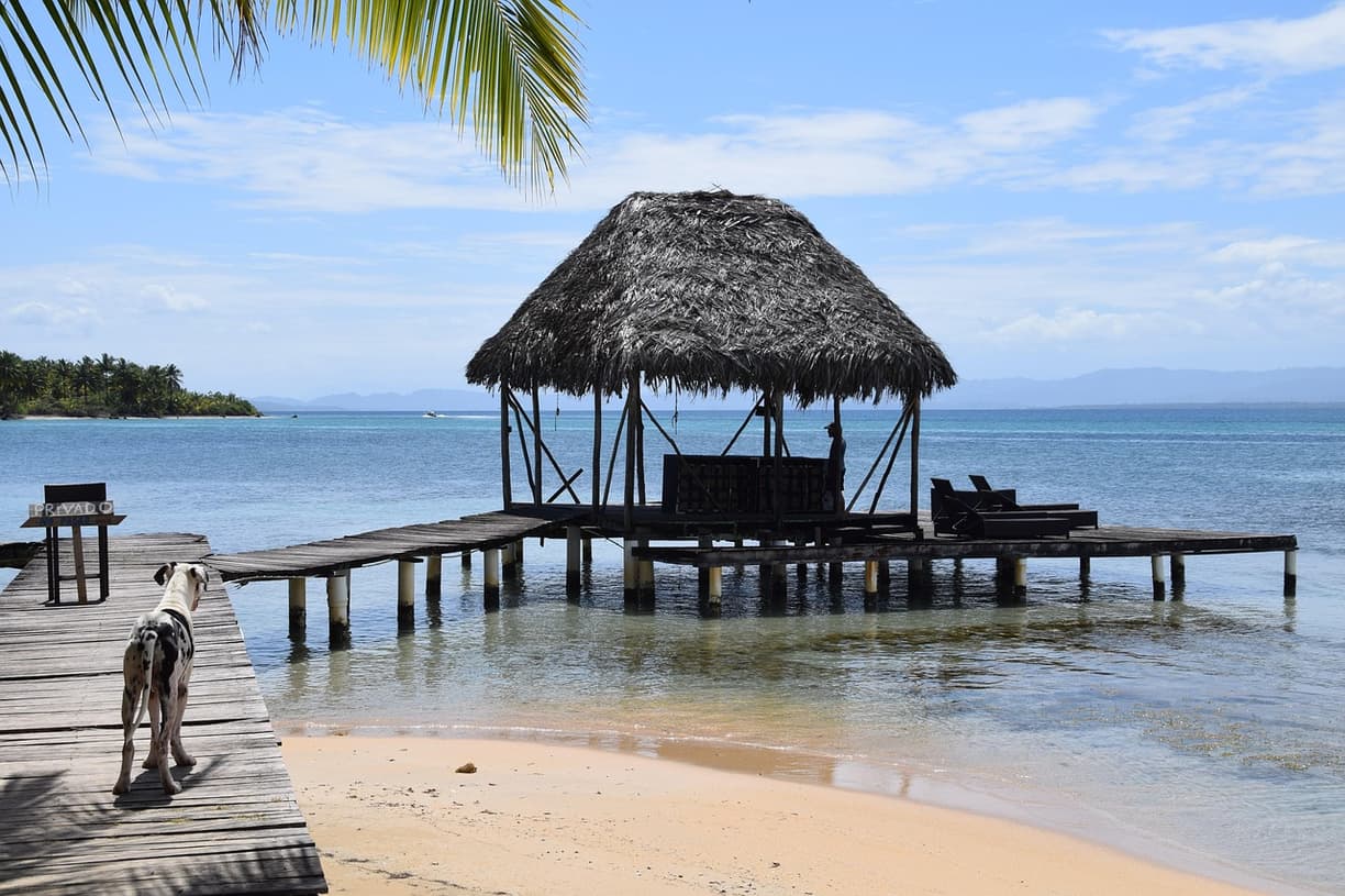 Bocas del Toro: jak dojechać i gdzie spać — przejrzysty plan?