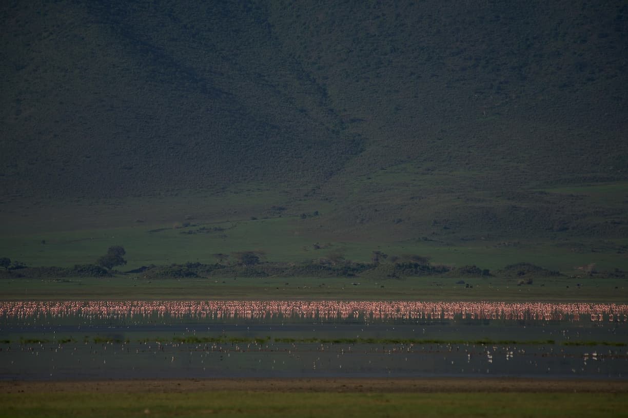 Widok na Krater Ngorongoro