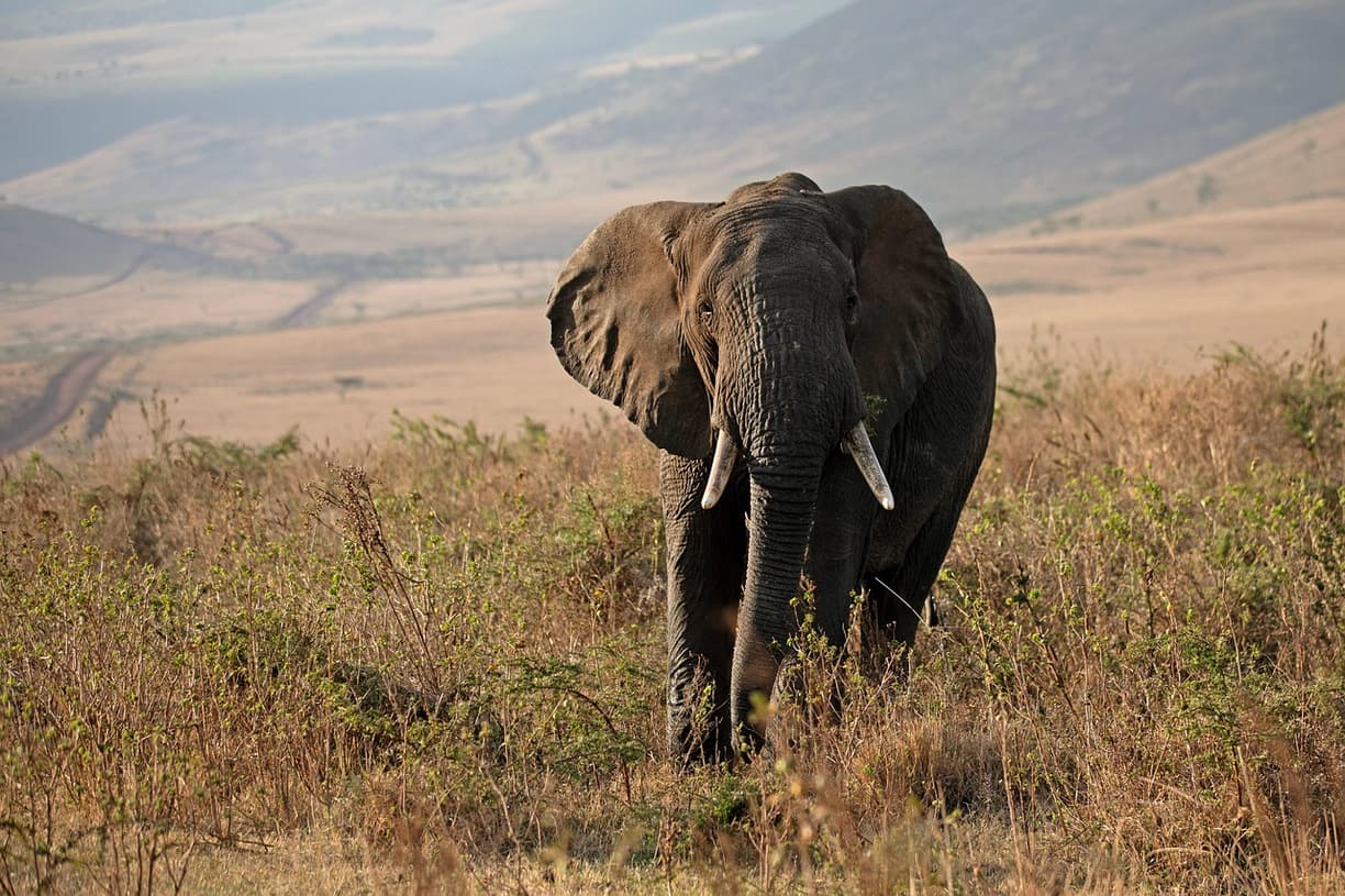 Tanzania - podróż, która zachwyca