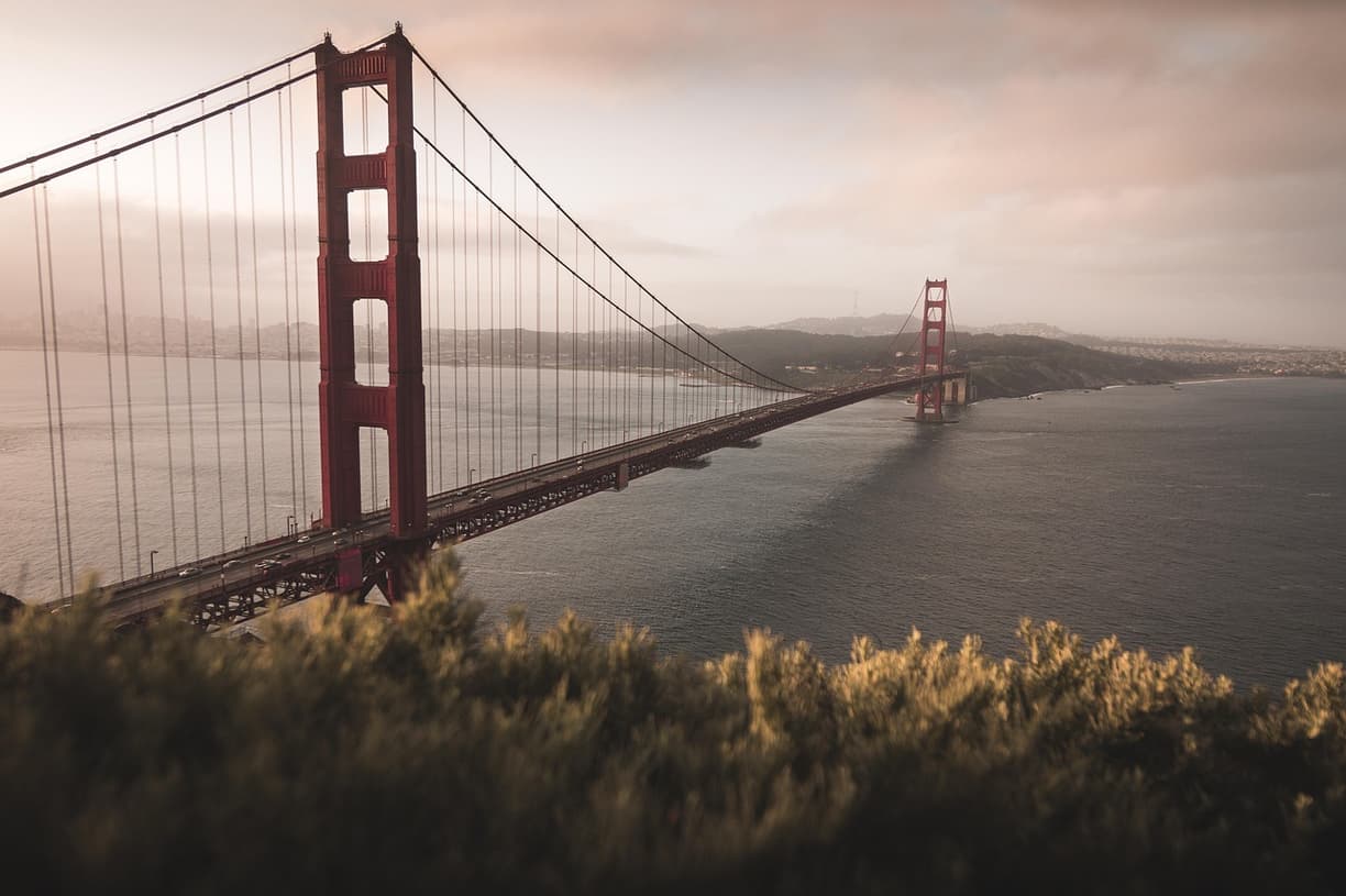 Widok z Hawk Hill na most Golden Gate
