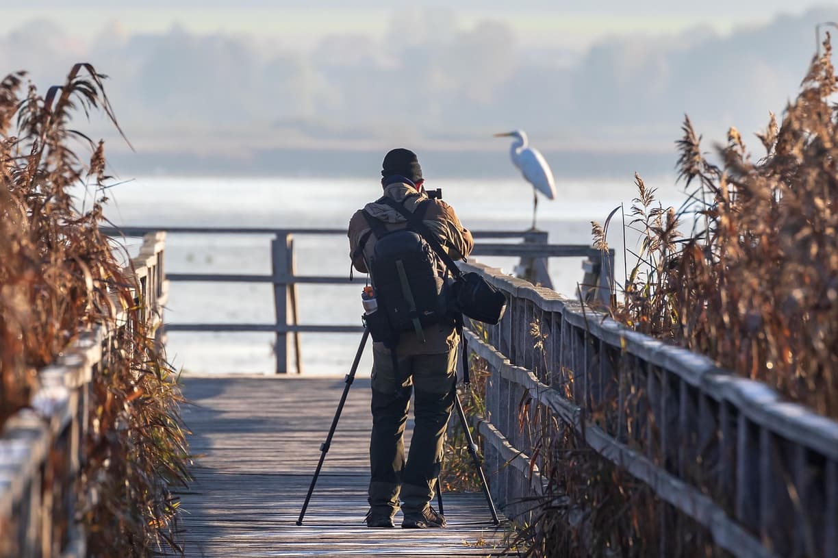 Widok z Stokes Point Reserve