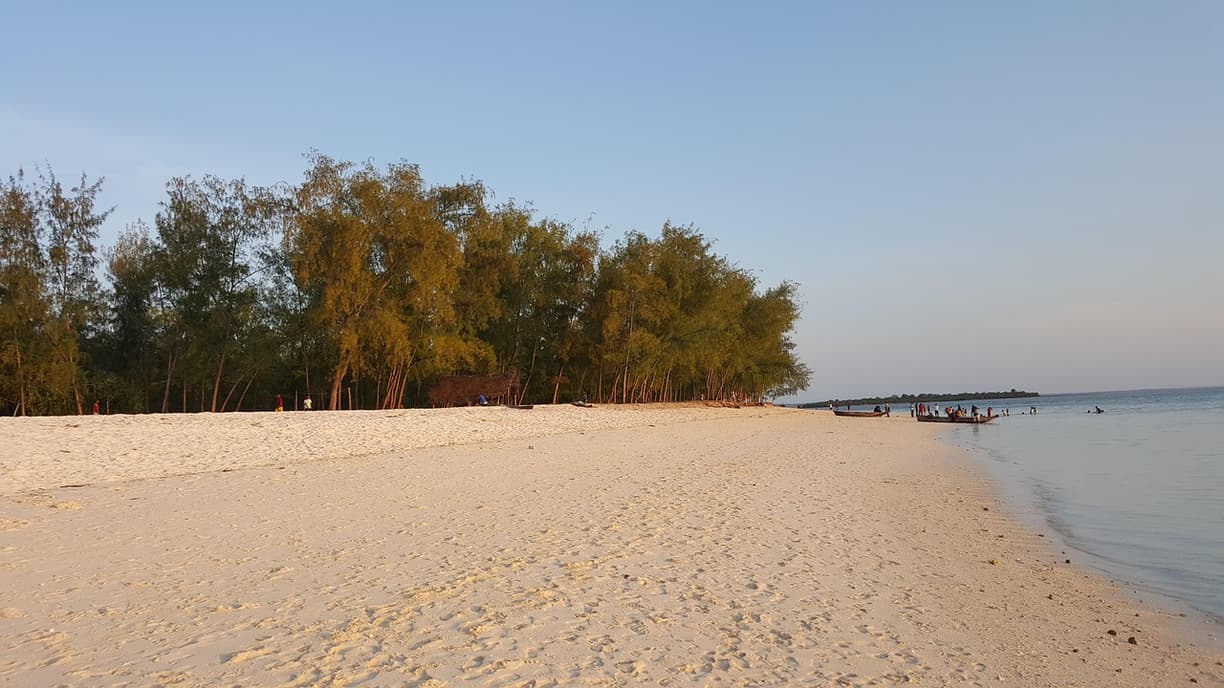 Plaża w Kendwie z ludźmi pod palmami
