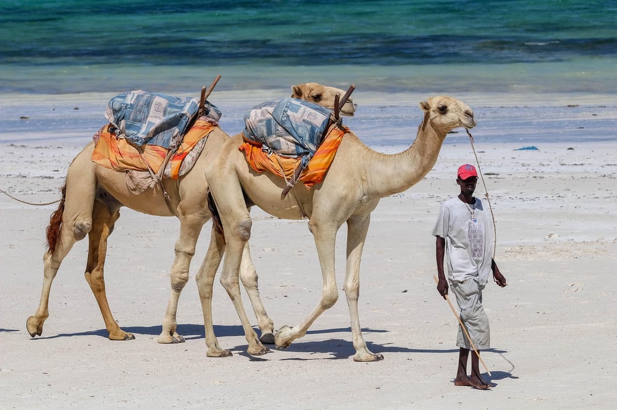 Kolorowy widok na ocean w Diani Beach