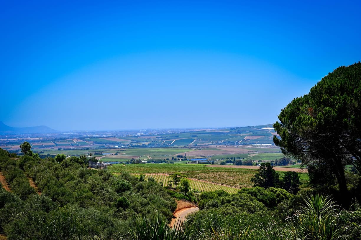 Pyszne dania serwowane w Stellenbosch