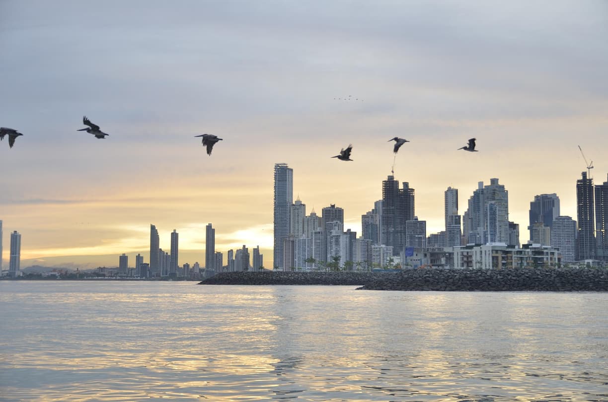 Widok z Parque Natural Metropolitano na Panama City