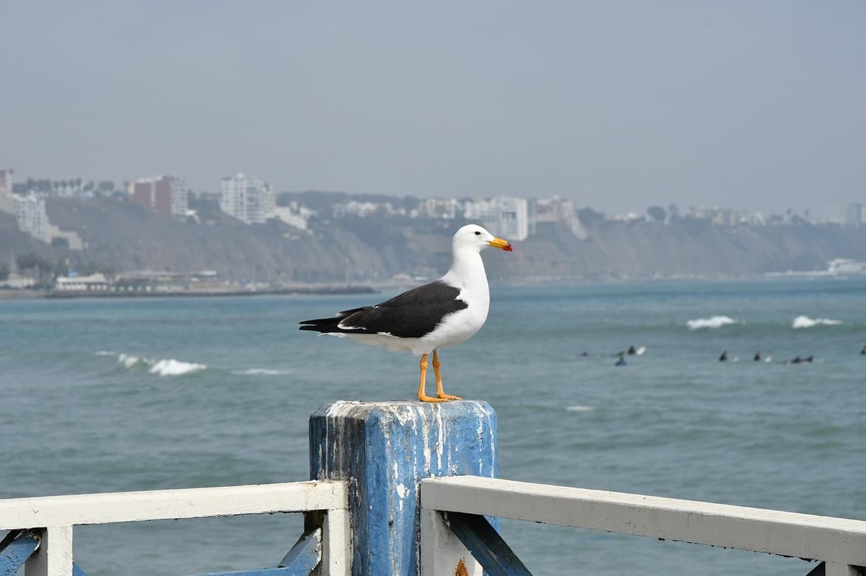 Lima, Peru – przewodnik turystyczny