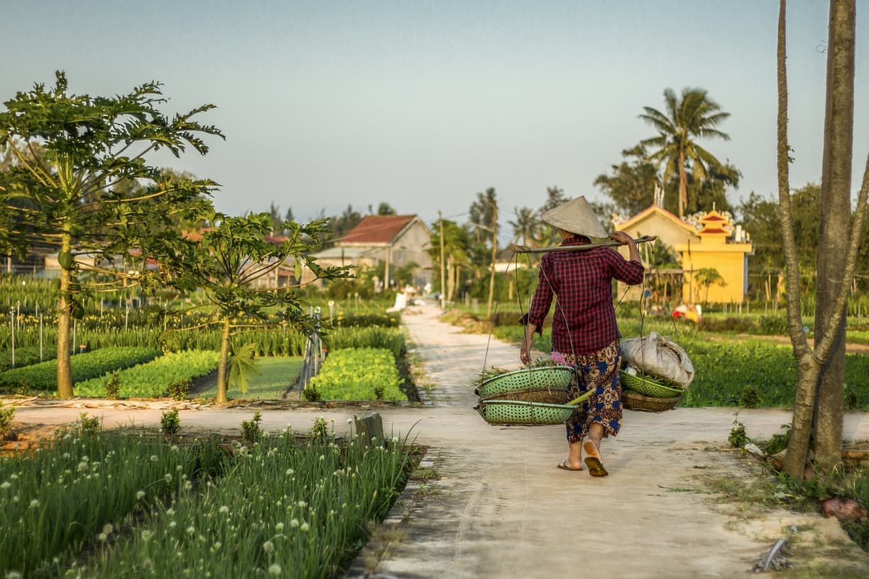 Lokalne potrawy serwowane w Hoi An