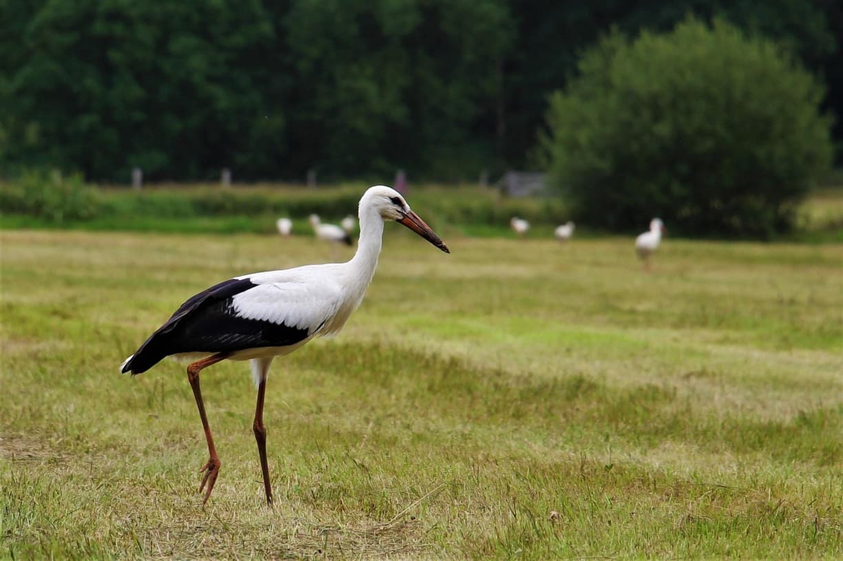 Widok na Eindhoven z powietrza