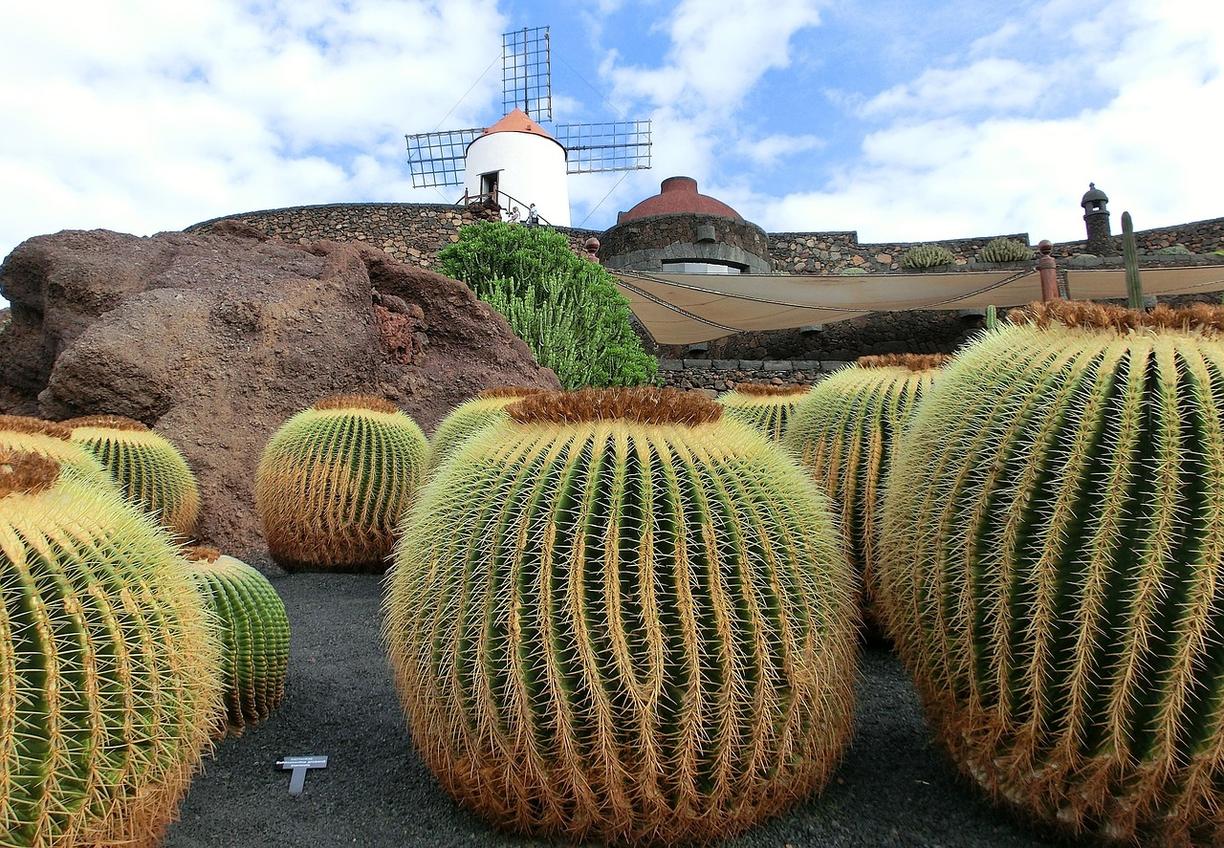 Lanzarote: najlepsze punkty widokowe i zdjęcia?