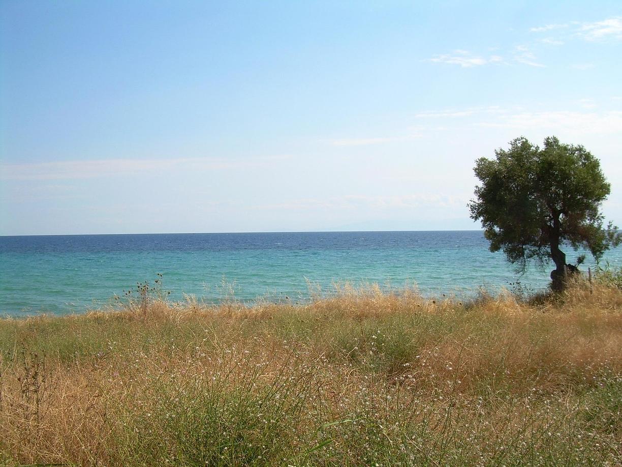Mozaiki w Parku Archeologicznym Nea Pafos