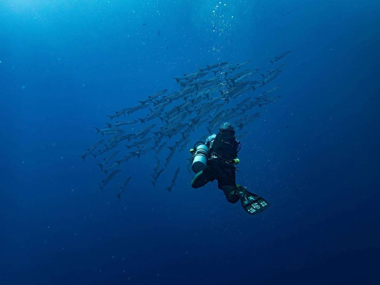 Nurkowanie w Yasawa Islands