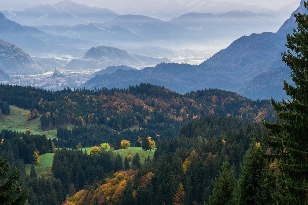 Panorama Kolonii nocą