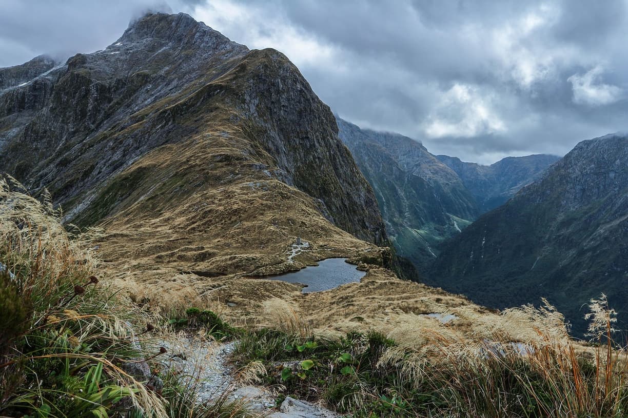 Widok na Milford Sound w Nowej Zelandii