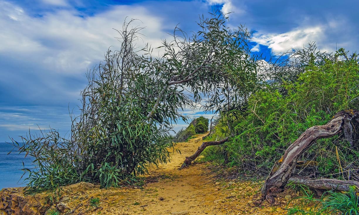 Widok z Cape Greco