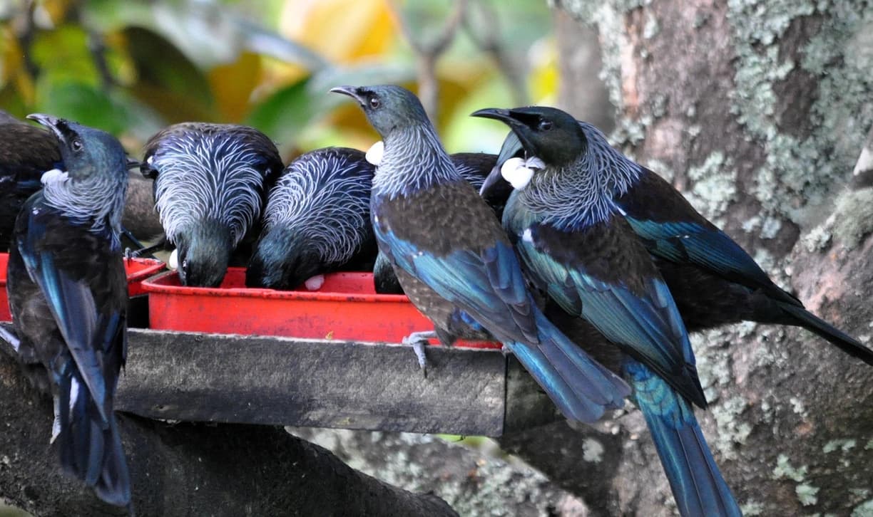 TUI Family Life Makadi Beach z animacjami