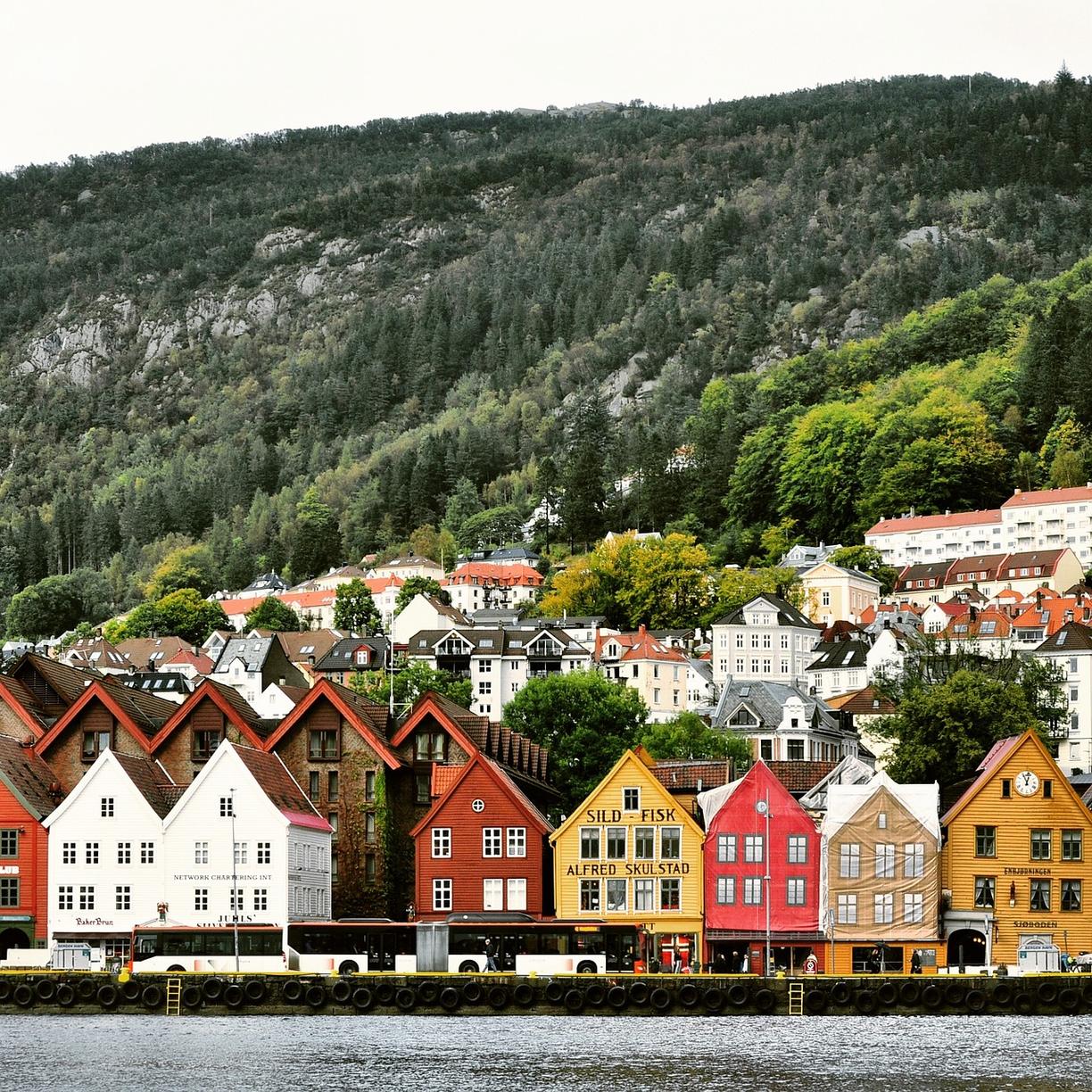 Norweskie owoce morza na talerzu