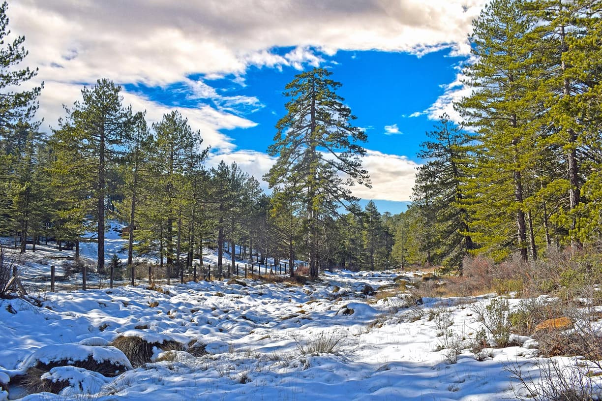 Klasztor Kykkos w Górach Troodos