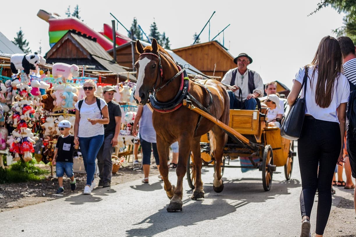 Bezpieczne podróżowanie