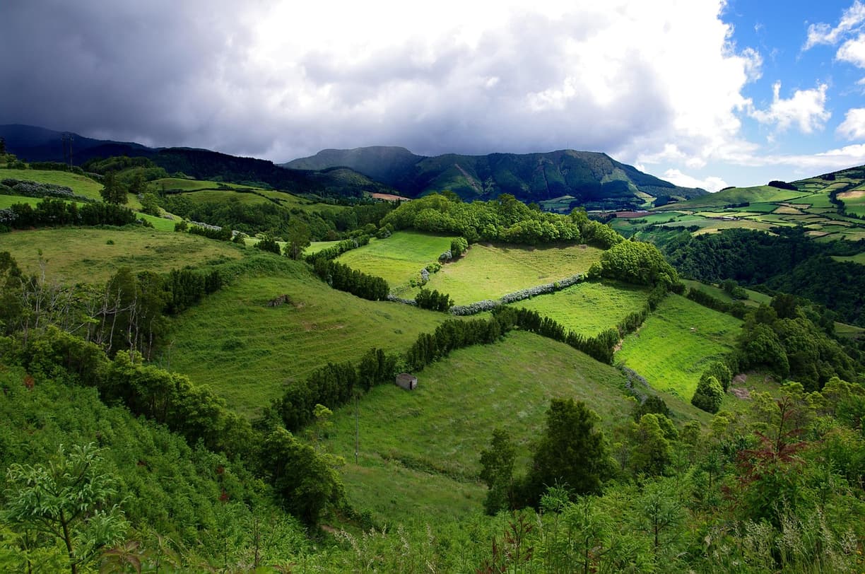 Flaszka lokalnego wina z Sao Miguel