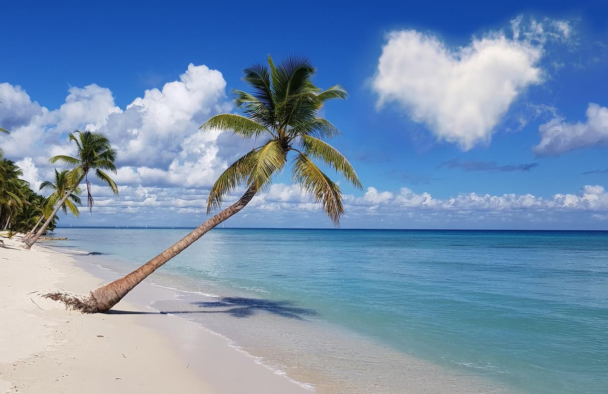 Widok na plażę na wyspie Saona