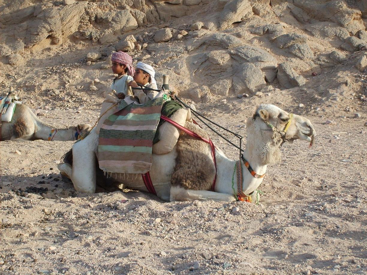 Hurghada: 12 miejsc, które musisz zobaczyć