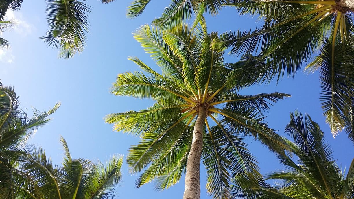 Plaża na Filipinach