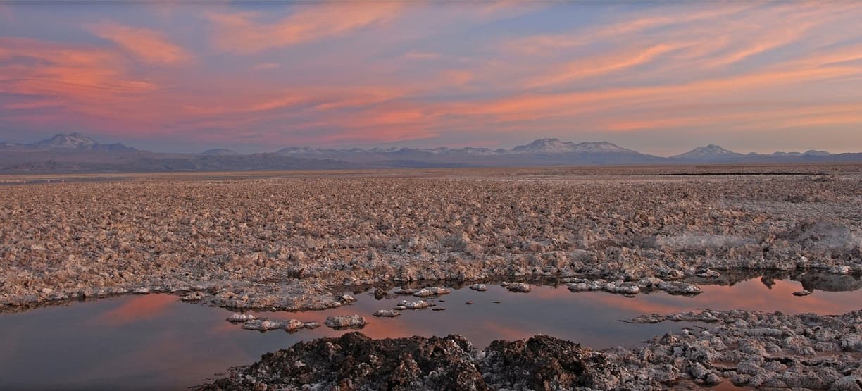 Flamingi na Salar de Atacama