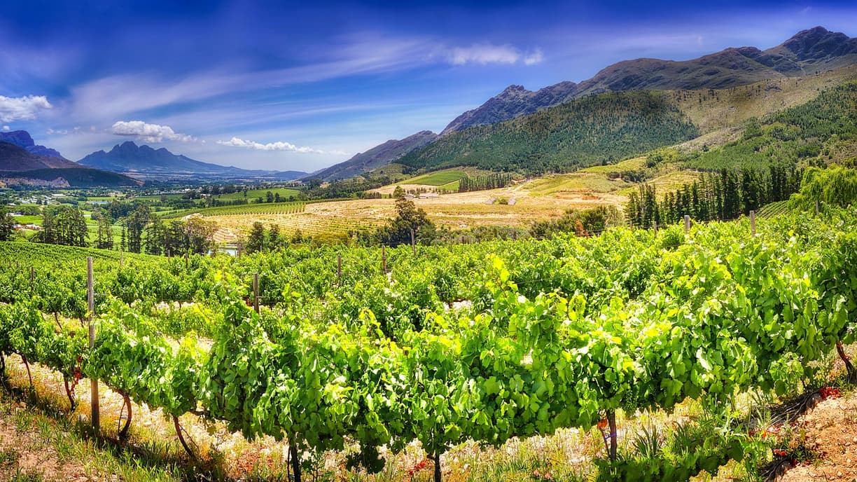 Szlak górski w Stellenbosch