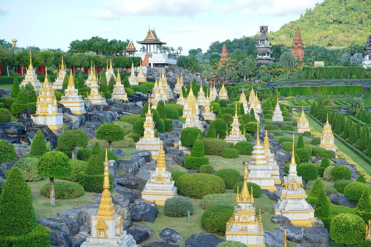 Kwiaty w Ogrodzie Botanicznym Nong Nooch