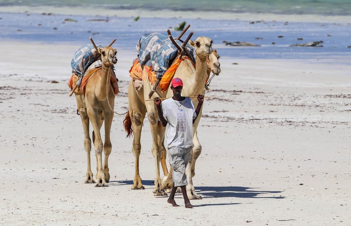 Turkusowa laguna przy Diani Beach