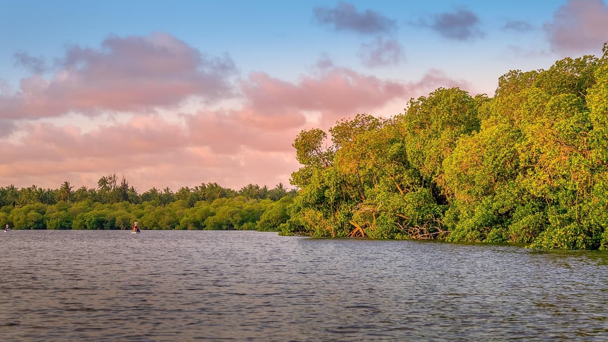 Plaża Watamu w Kenii, idealna dla nurków