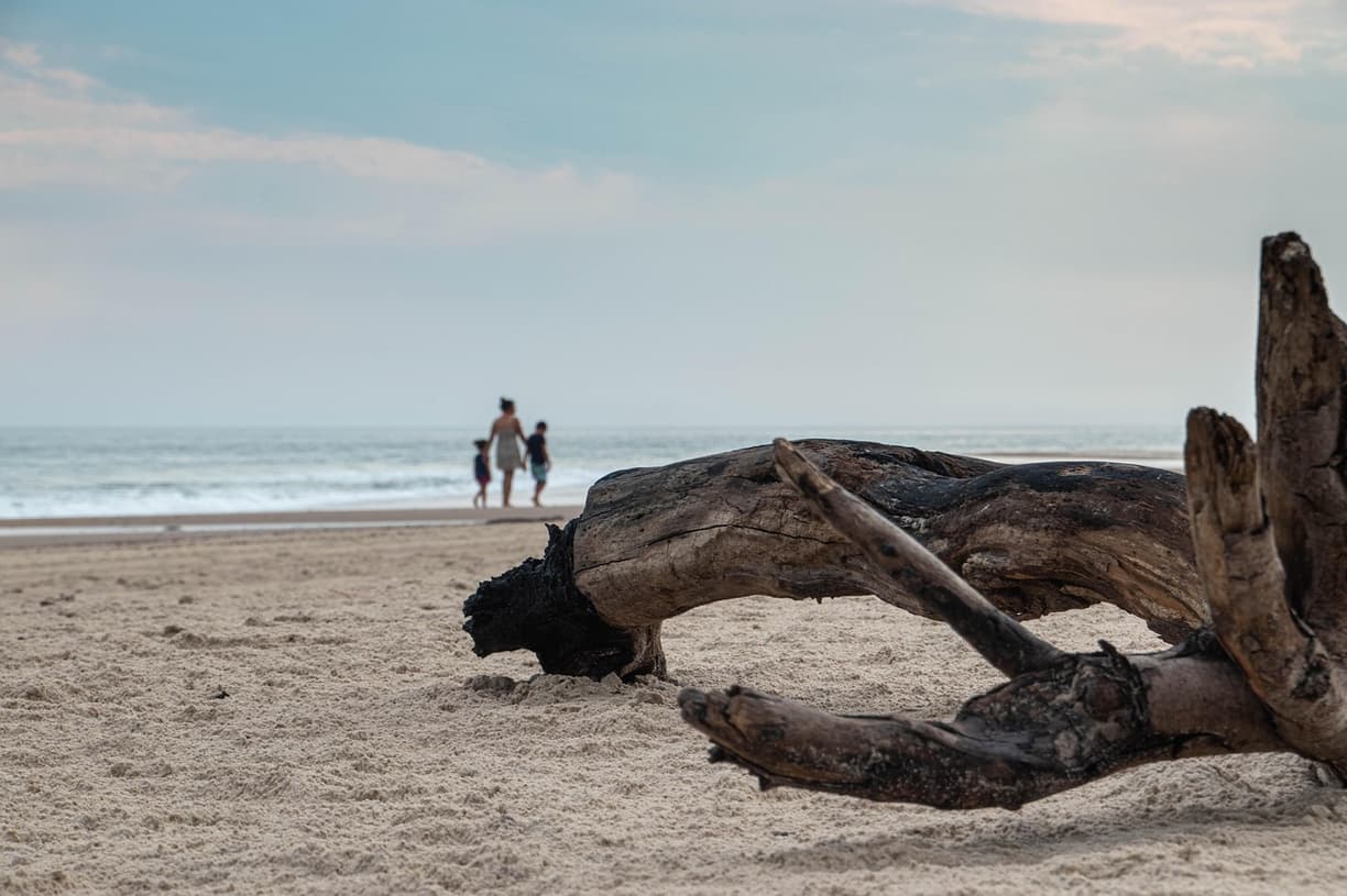 Santa Monica Beach — baner