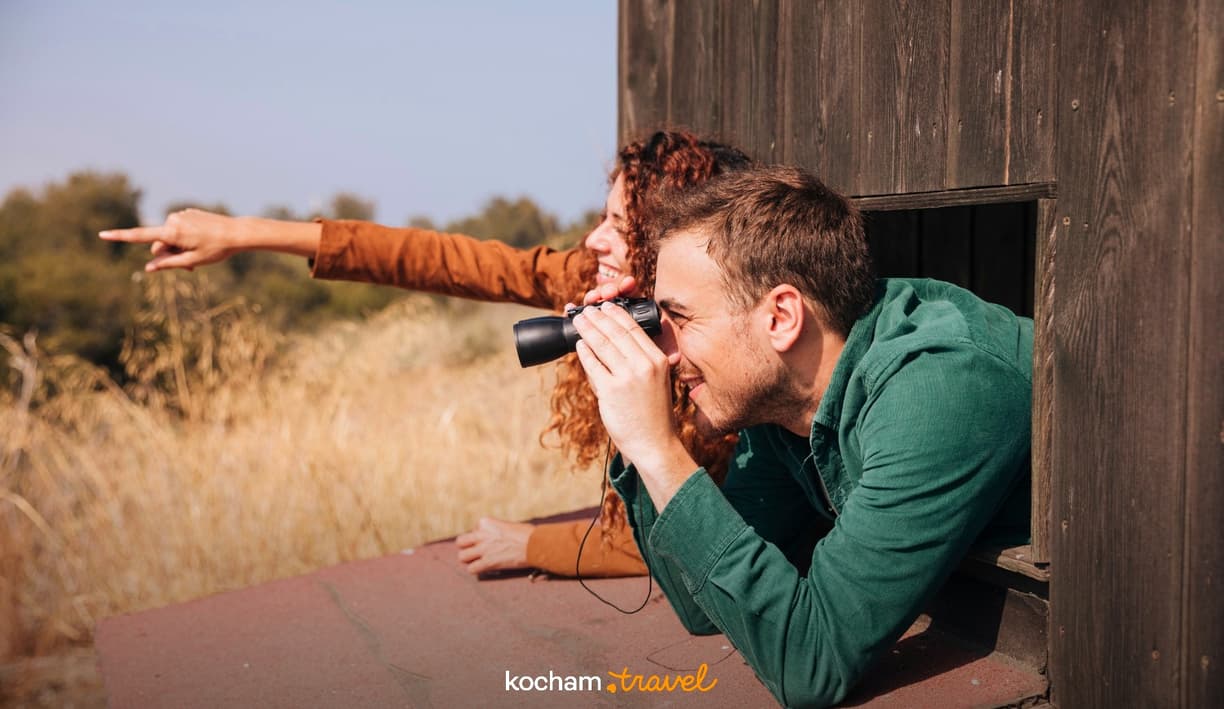 Gdzie polecieć na birdwatching w Europie według planera podróży AI?